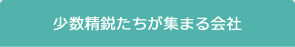 少数精鋭たちが集まる会社